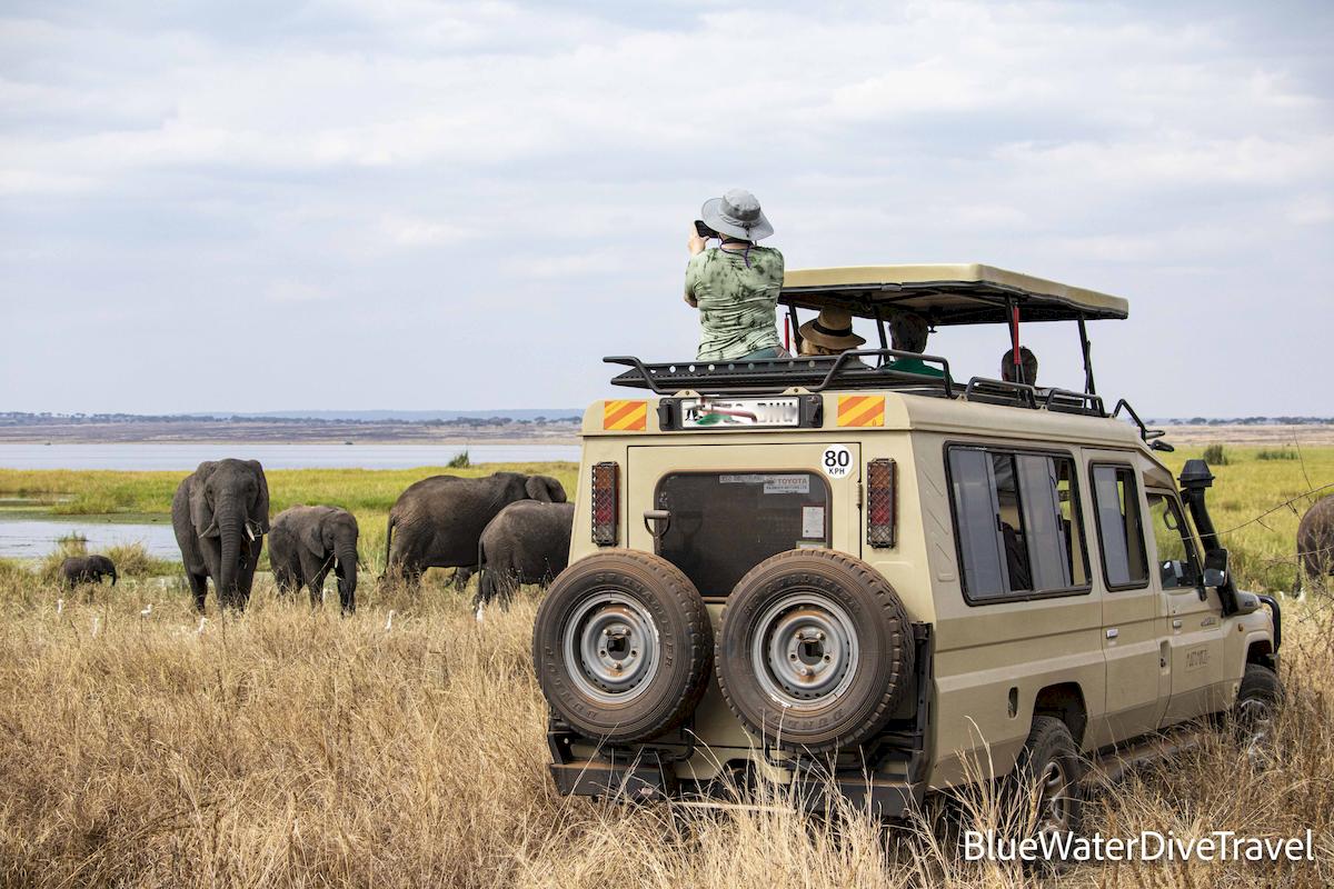 Tanzania Game Safari