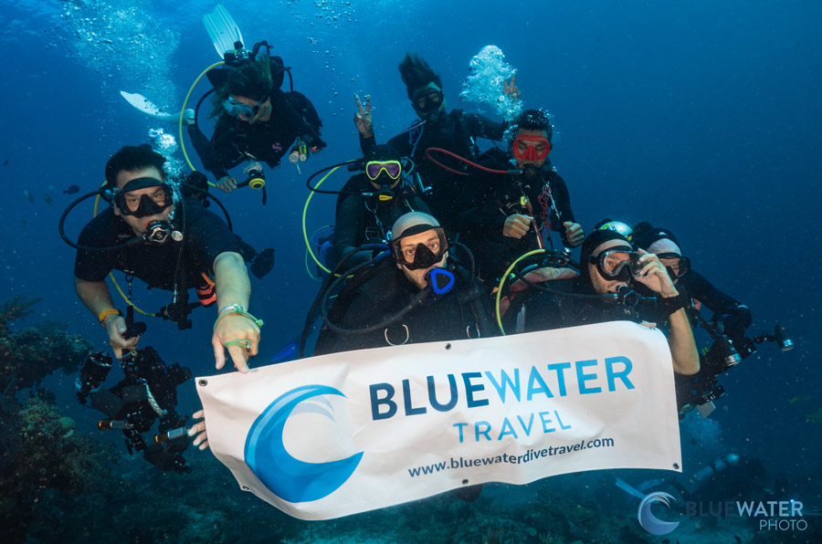 Underwater Group Trips and Workshops