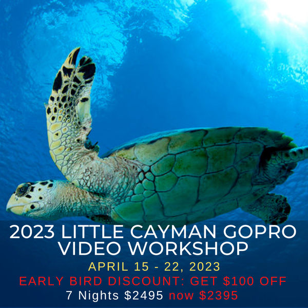 Little Cayman GoPro Video Workshop 2023