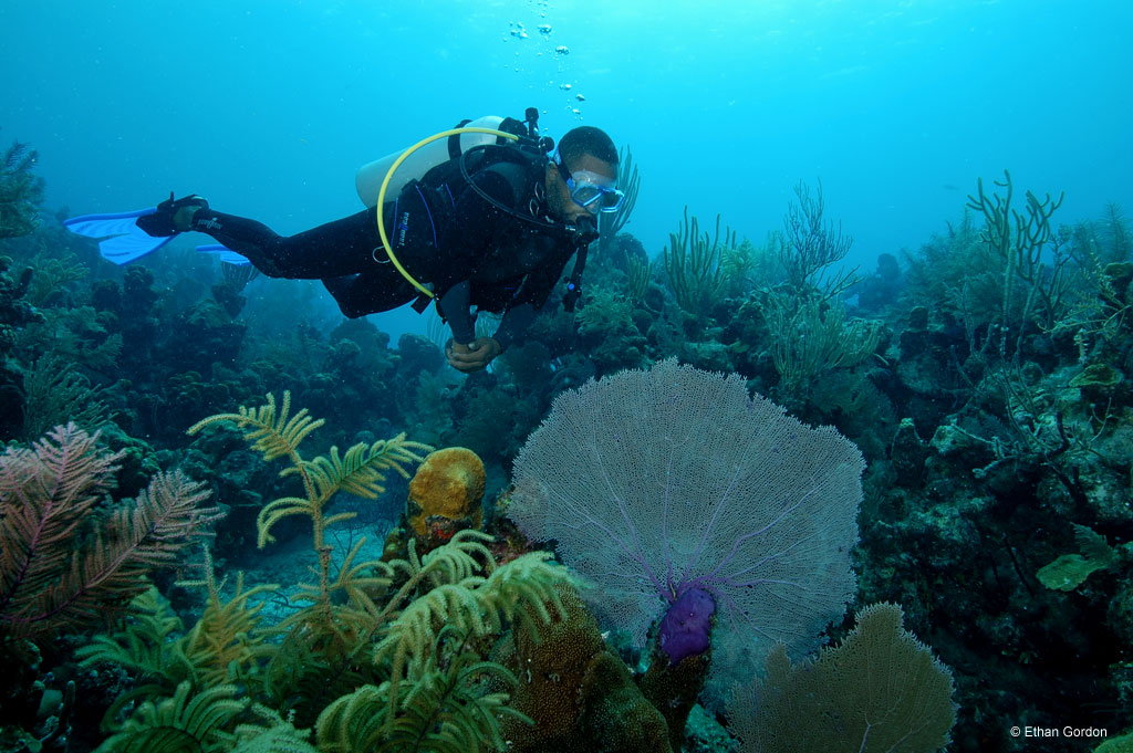 Bohio Dive Resort Underwater Photo by Ethan Gordon