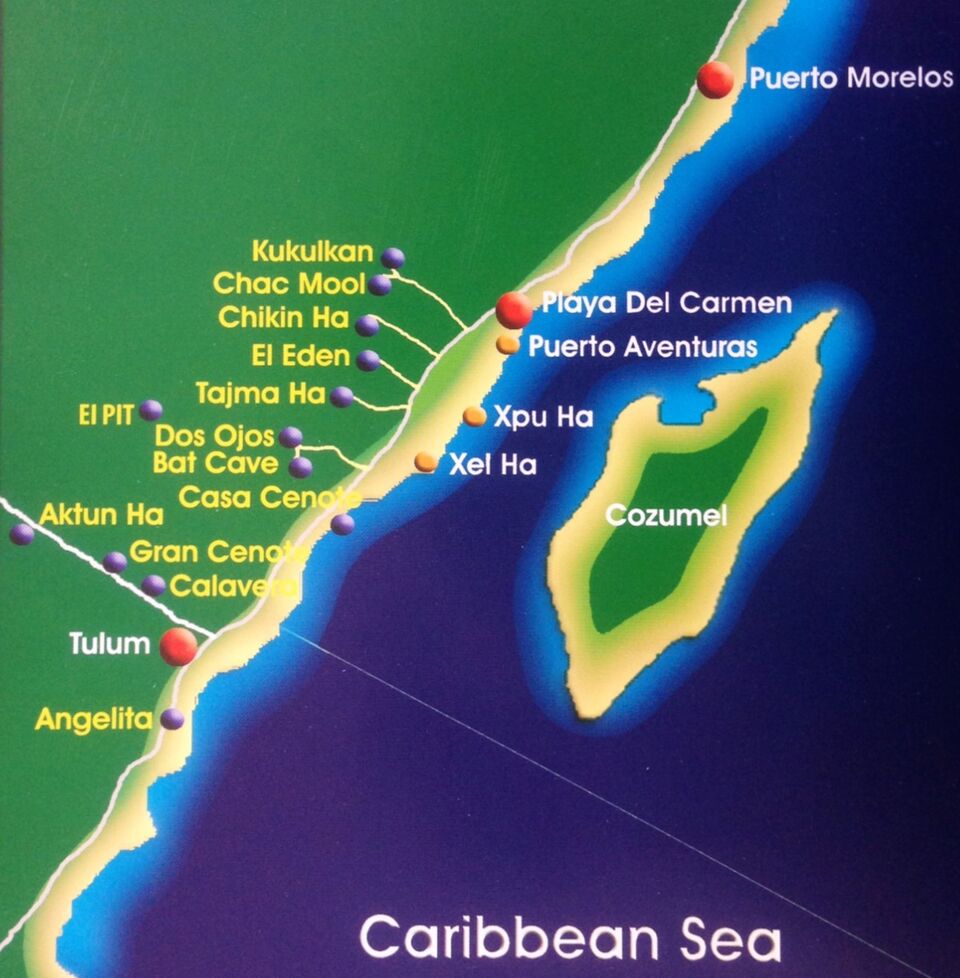 Pro Dive Mexico Bluewater Dive Travel