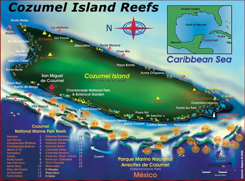 Pro Dive Mexico Bluewater Dive Travel