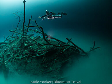 cenotes dive