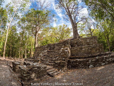 Mexico Crocs & Cenotes 2019 Trip Report