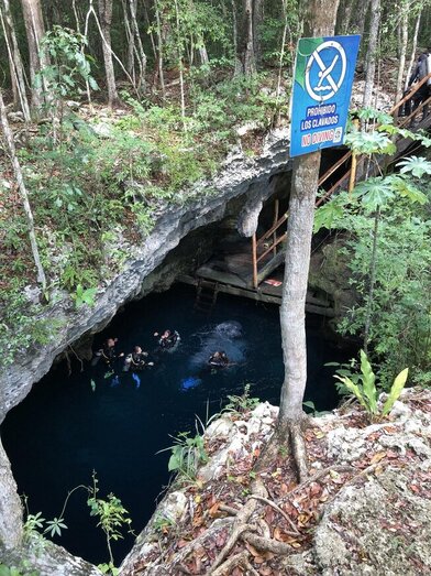 Mexico Crocs & Cenotes 2019 Trip Report