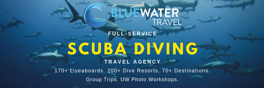 Underwater Camera Reviews