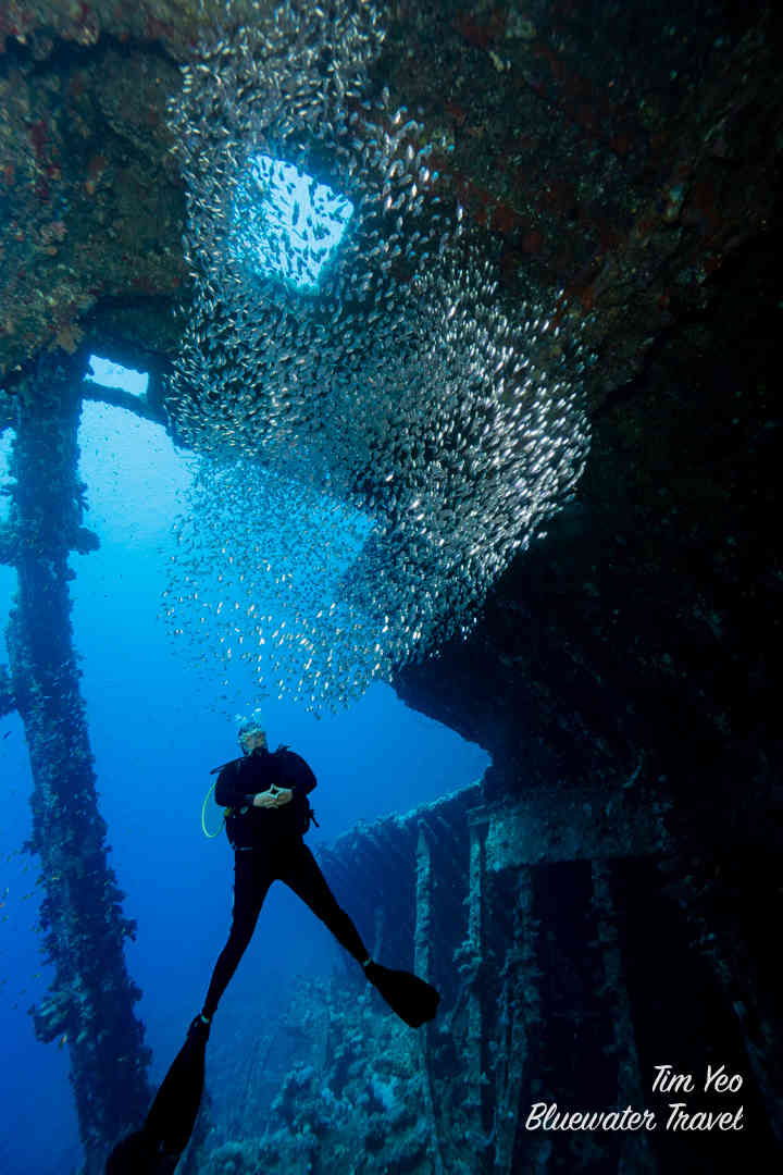 A diver explores a wreck in the Red Sea