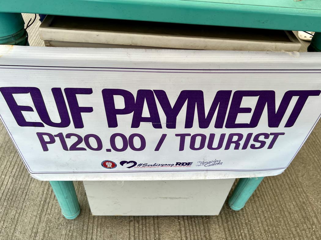 Ferry ticket and terminal fee