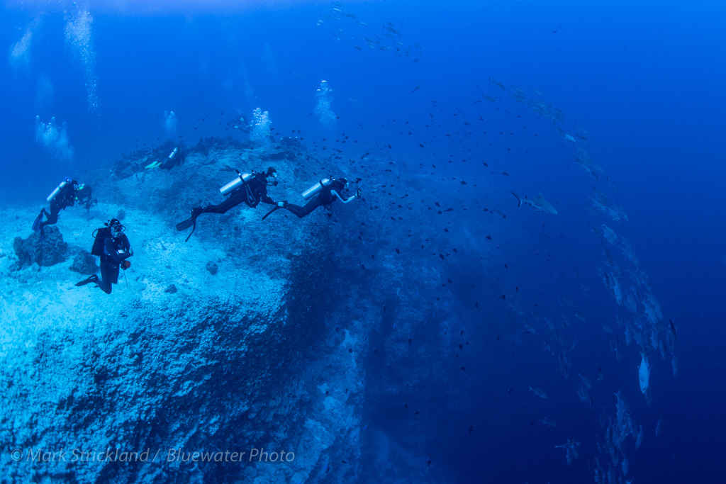 Divers explore a deep reef in Fiji