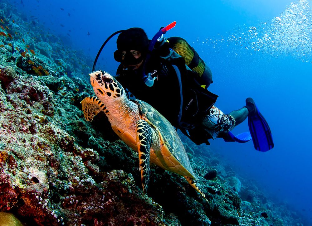 Maldives underwater photo