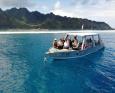 Moorea Blue Diving Dive Trip Reviews, Photos & Special Rates