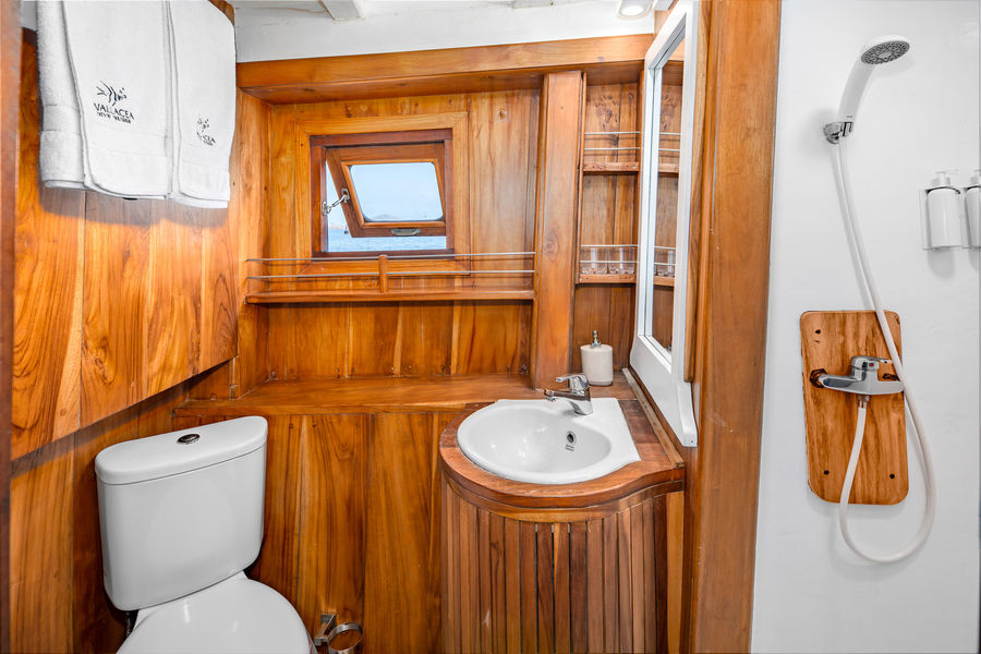 msy seahorse main deck cabin bathroom