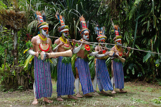 Papua New Guinea Trip Report