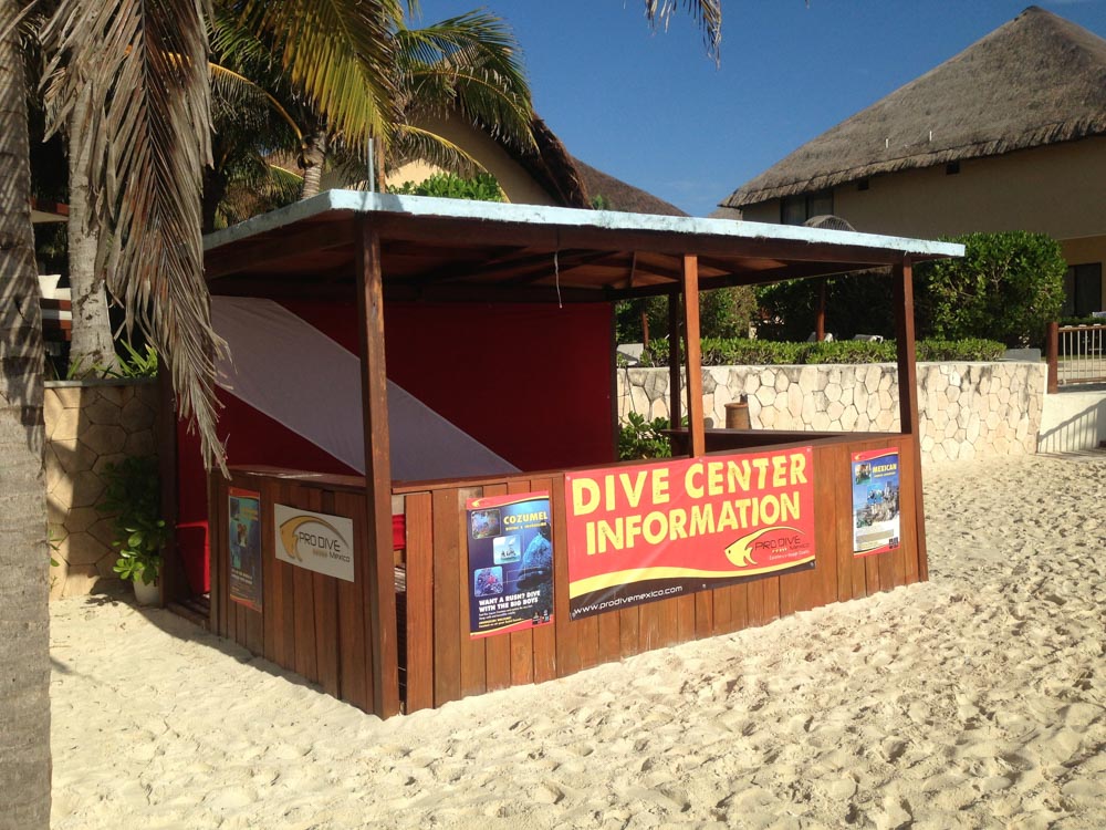 Pro Dive Mexico Bluewater Dive Travel