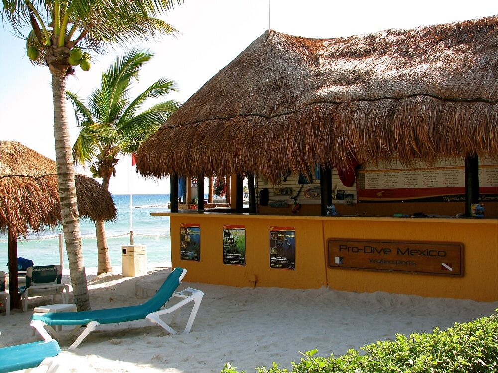 Pro Dive Mexico Bluewater Dive Travel