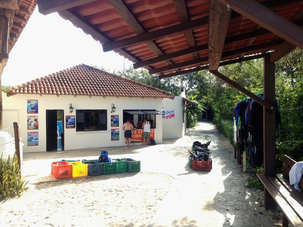 Pro Dive Mexico Bluewater Dive Travel