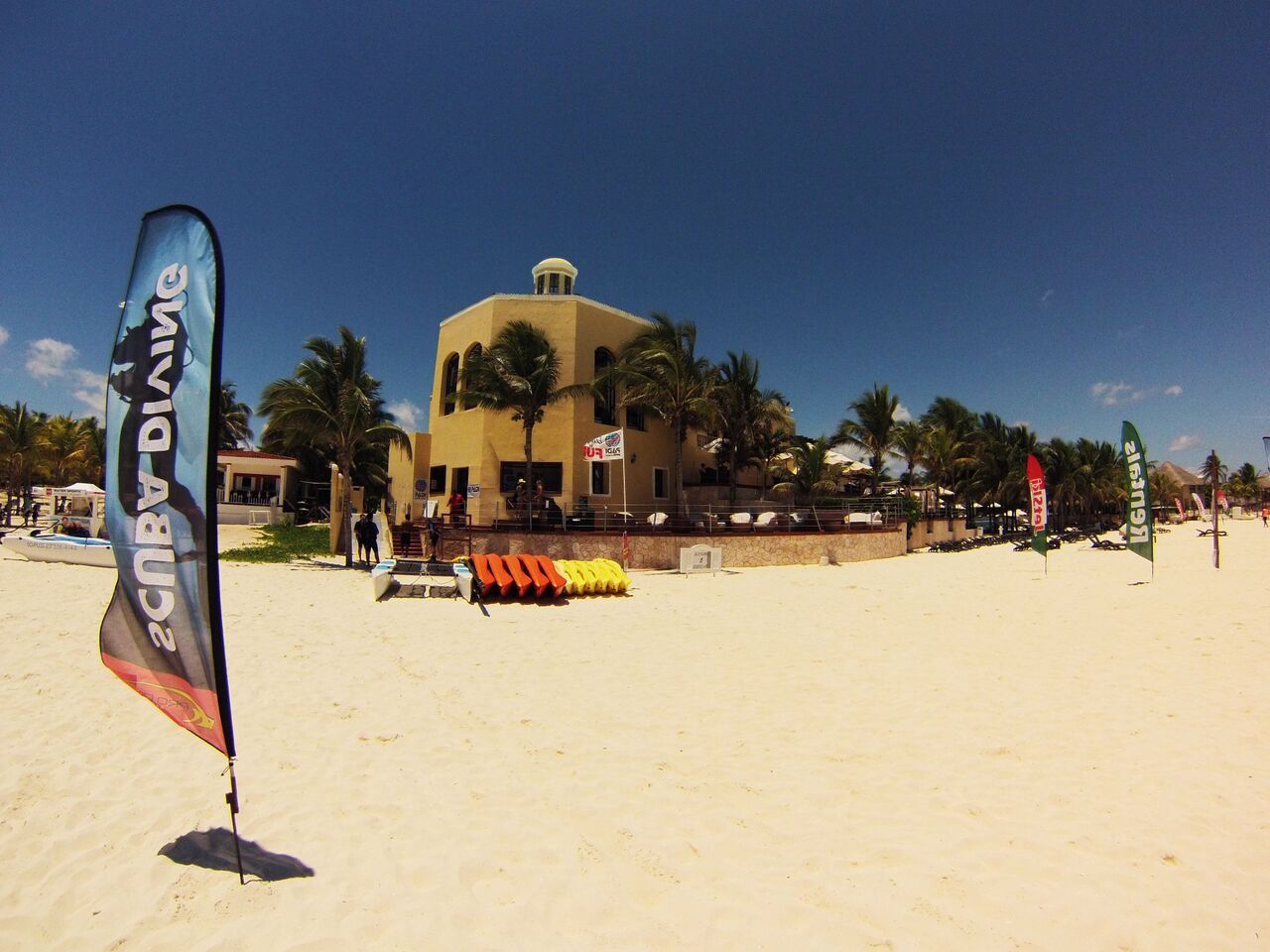 Pro Dive Mexico Bluewater Dive Travel