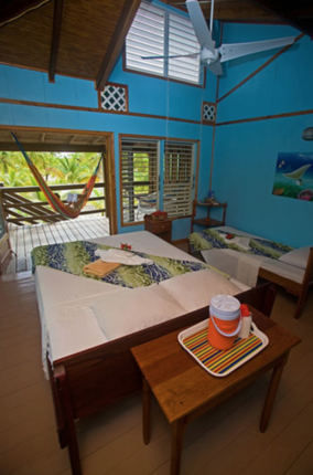 Pelican Beach Resort Dangriga's room