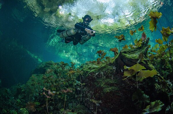 mexico cenote diving