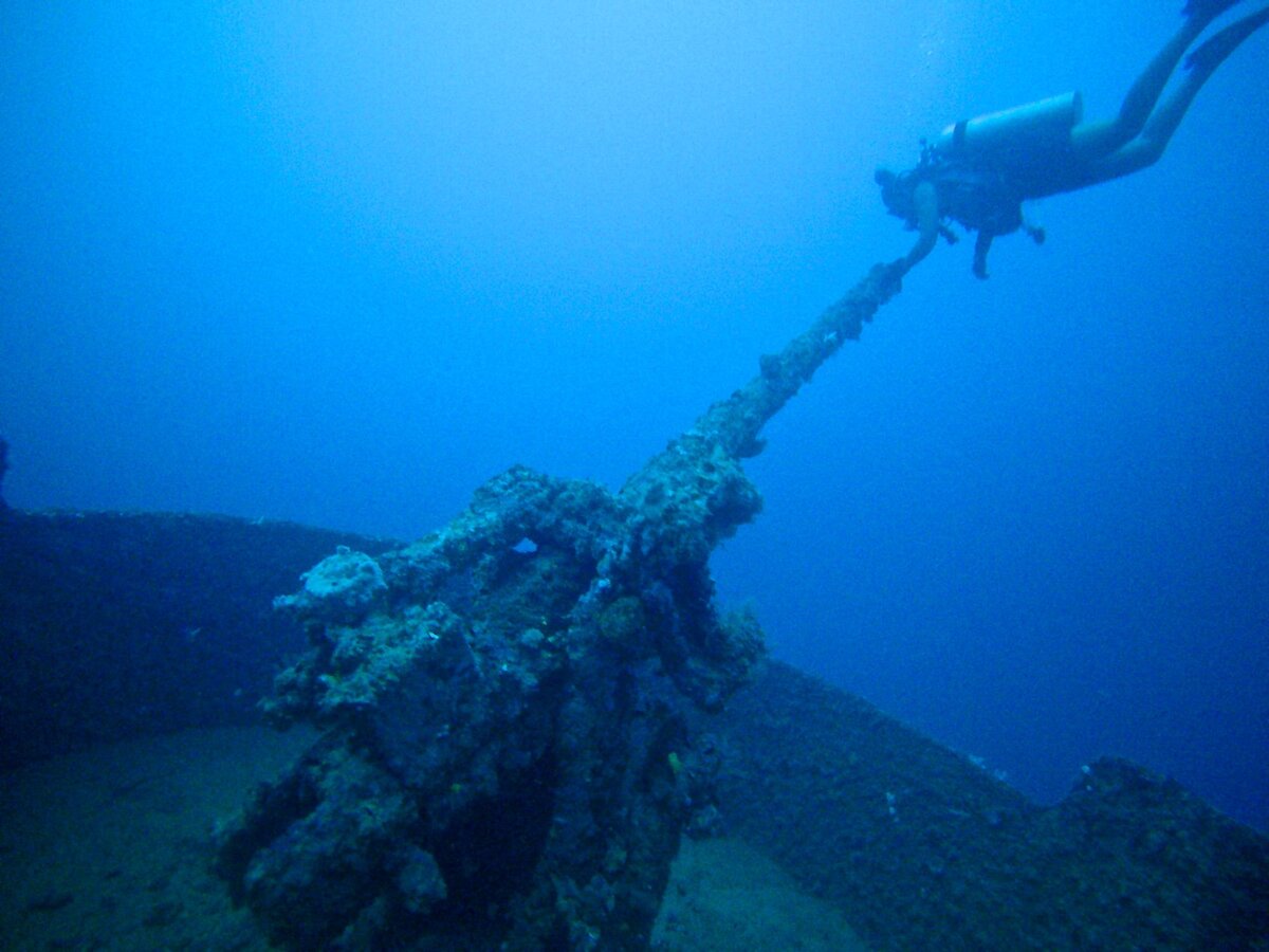 Raiders Hotel & Dive Tulagi's underwater photo