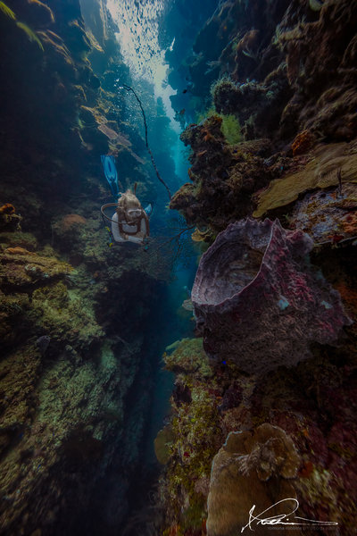 A diver explores a dive site in Roatan - best diving in April