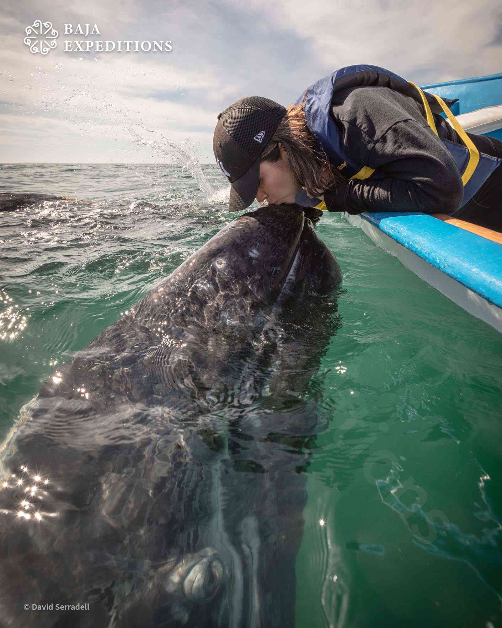 San Ignacio Gray Whale Experience