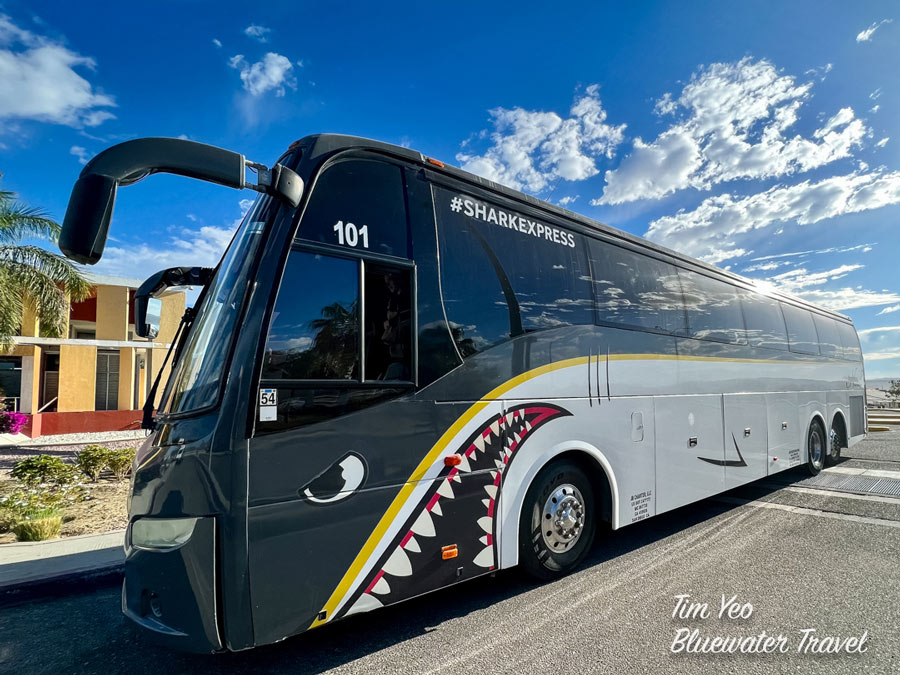 San Ignacio Luxury Bus