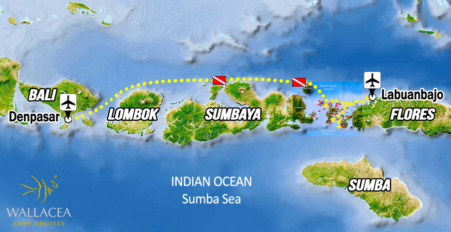 Bali-Komodo Itinerary