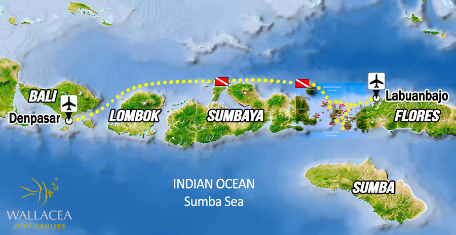 Komodo & Bali Liveaboard Adventure 2026