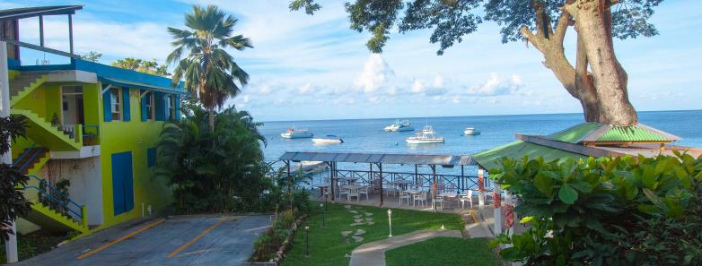 Castle Comfort Dive Lodge Dominica Reviews & Specials Bluewater Dive