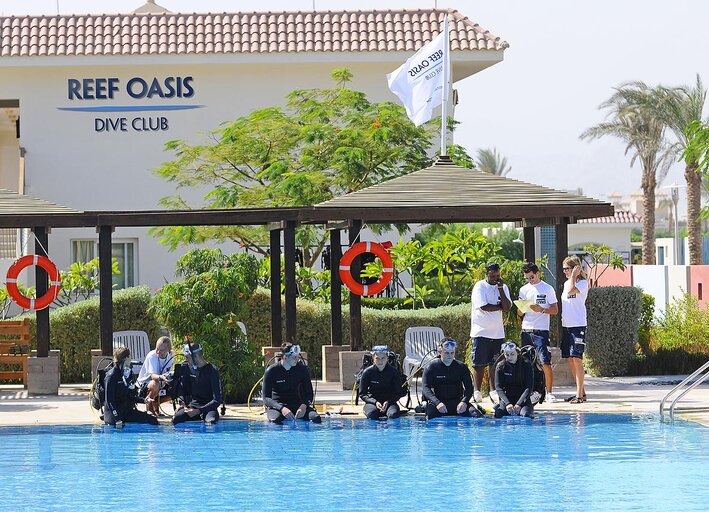 Reef Oasis Dive Club Sharm Sheikh Reviews  Photos Special Rates