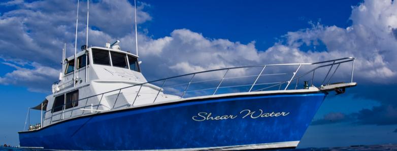 M/V Shear Water Liveaboard (Jim Scuba Adventures) Reviews
