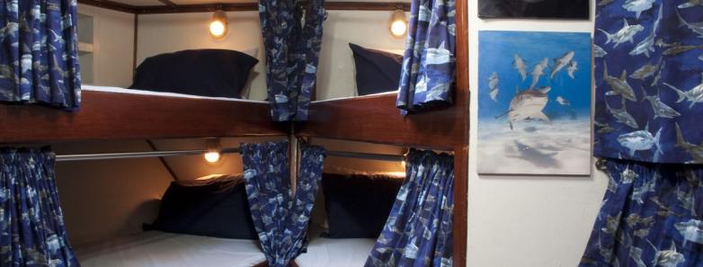 M/V Shear Water Liveaboard (Jim Scuba Adventures) Reviews