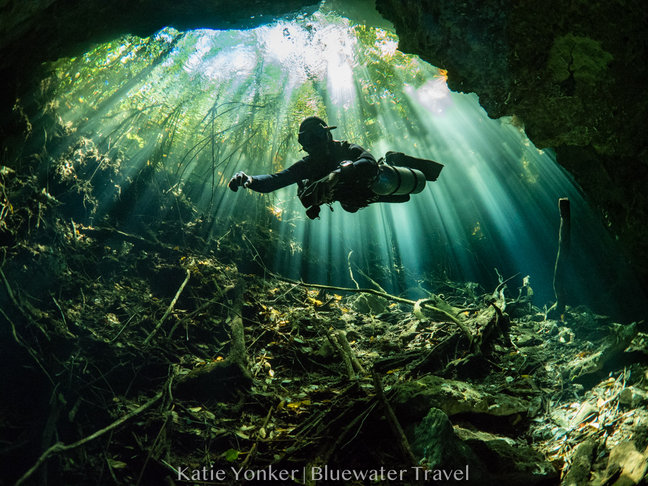 Cenotes Diving - Bluewater Dive Travel
