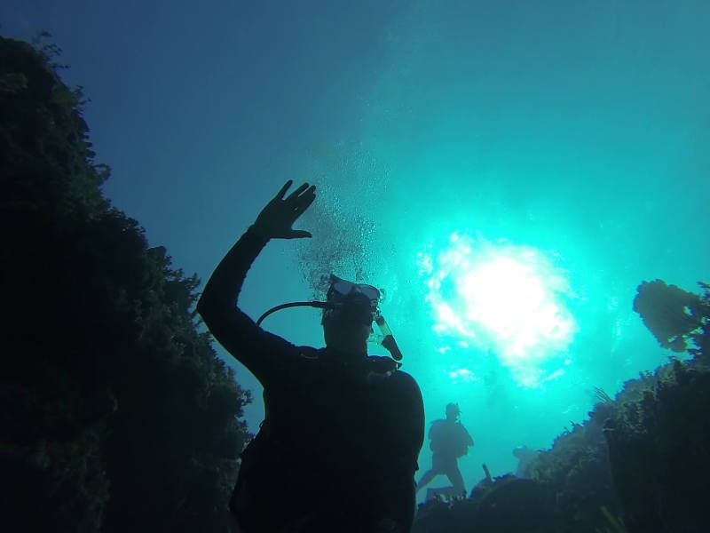 Dressel Divers Montego Bay Dive Trip Reviews, Photos & Special Rates Bluewater Dive Travel