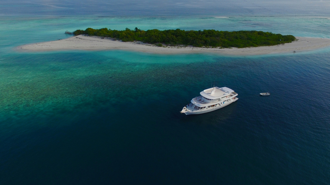Eco Blue Maldives Liveaboard Reviews & Specials - Bluewater Dive Travel