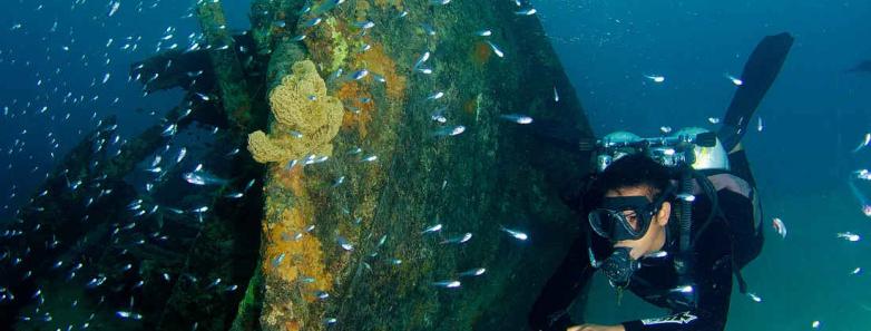 Pacific Dive Vanuatu Reviews, Photos & Special Rates Bluewater Dive