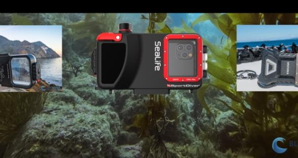 Underwater Photography with a Smartphone