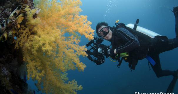 A scuba diver photographs some soft coral in Truk Lagoon