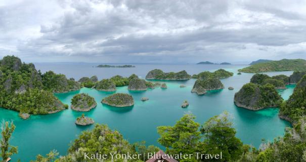 A view of Raja Ampat's emerald islands dotting the turquoise sea.