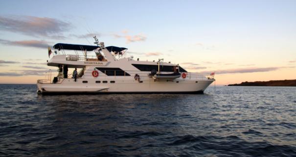 scuba scene yacht
