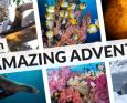 50 Amazing Adventures with Bluewater Travel