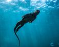 Galapagos diving 