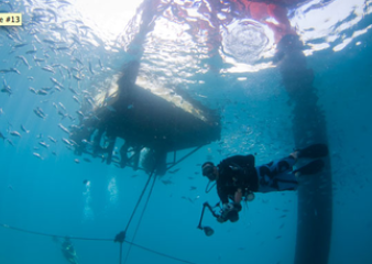 Divers explore underneath Seaventures Dive Rig.