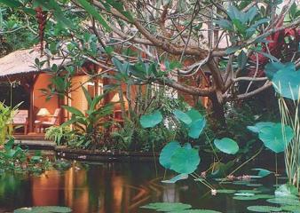 A beautiful lily pond accents the Watergarden Resort Bali.