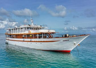 MV Ambai Liveaboard (Wallacea Dive Cruises)