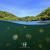 jellyfish lake, palau, aggressor, rock islands