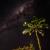 The milky way rise over a bamboo hut and a palm tree by Mike Leeson Photography