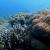 Sorido Bay Resort Review - Diving