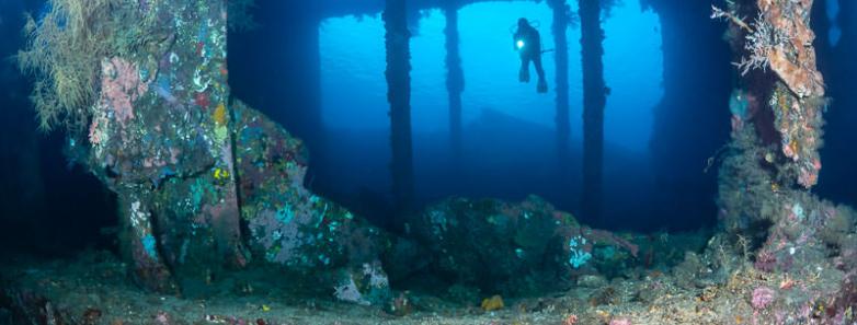 Looking at a diver through a wreck